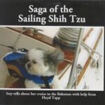 Saga of The Sailing Shih Tzu